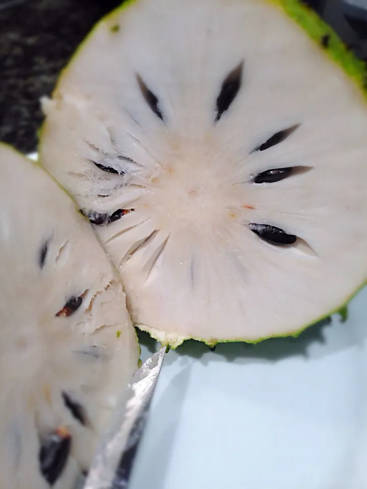 Soursop ( tropical fruit)|Allissa Zhaoさん