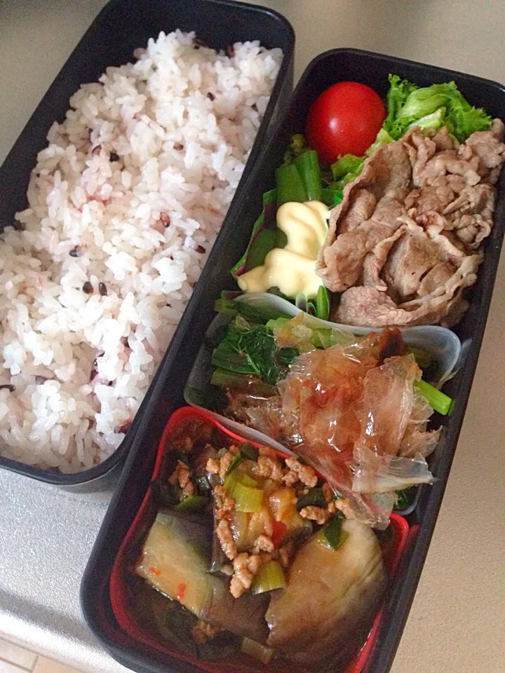 Snapdishの料理写真:主人のお弁当|あいさん