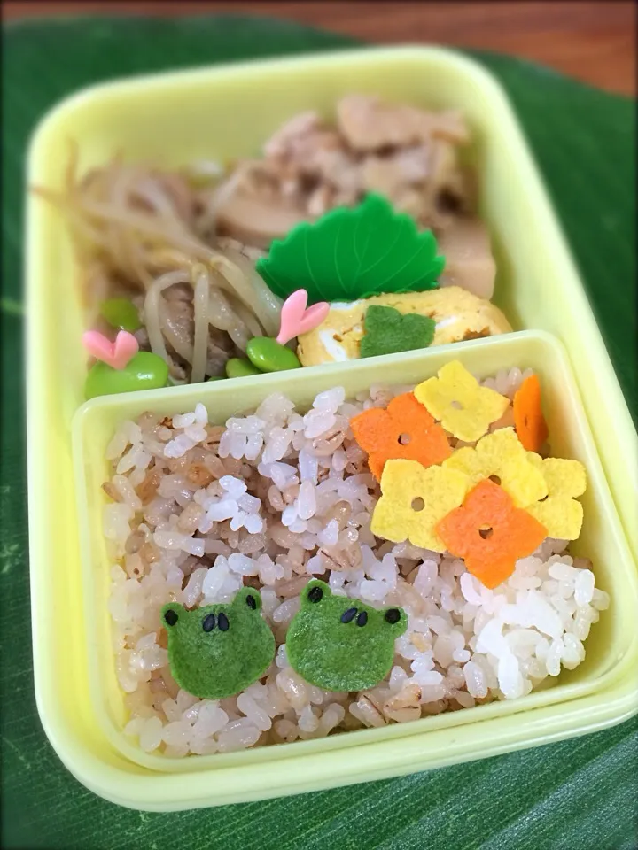 カエルさんの麦ご飯弁当|manacocoさん