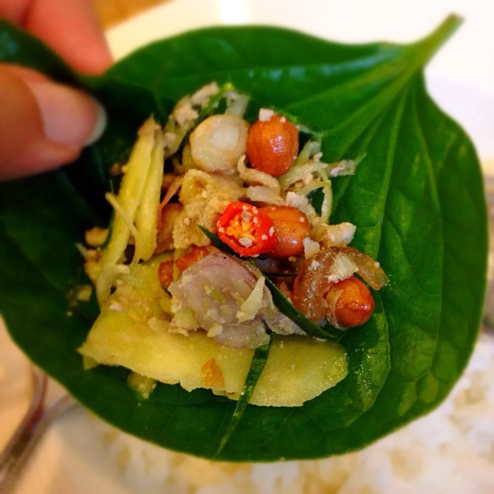 เมี่ยงหมูยำสมุนไพลห่อใบชะพูล : Herbal Pork Salad Wrapped in leaves.|Jaraspornさん