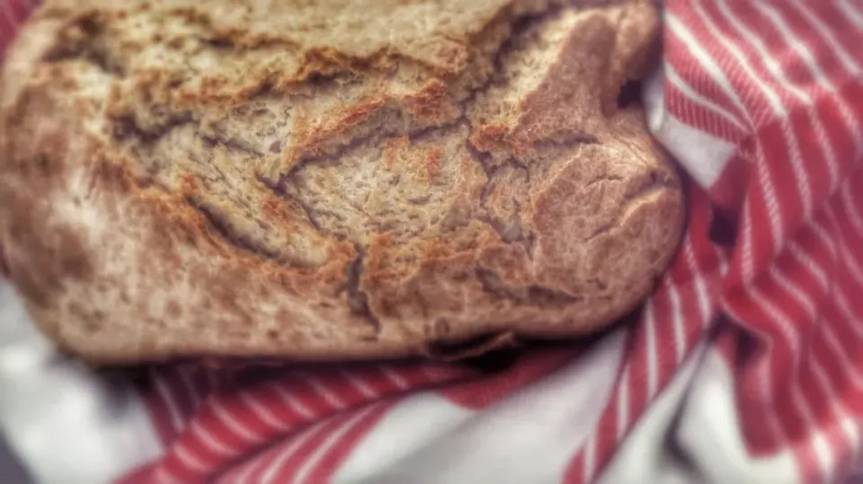 allgrain homemade bread|Eléonora Dさん