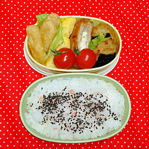 6/12(木)の旦那弁当
♪長芋の唐揚げ
♪チーズメンチカツ
♪のりつくね
♪ミニトマト
♪卵焼き|ふみぃさん