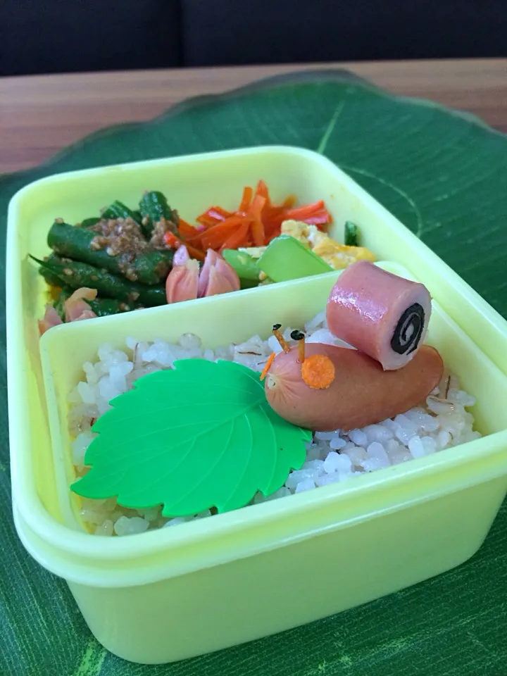 カタツムリ弁当|manacocoさん