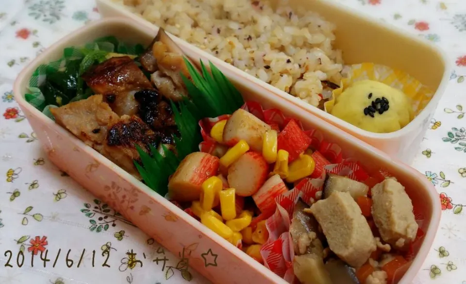 6/11 お弁当☆|ともちんさん