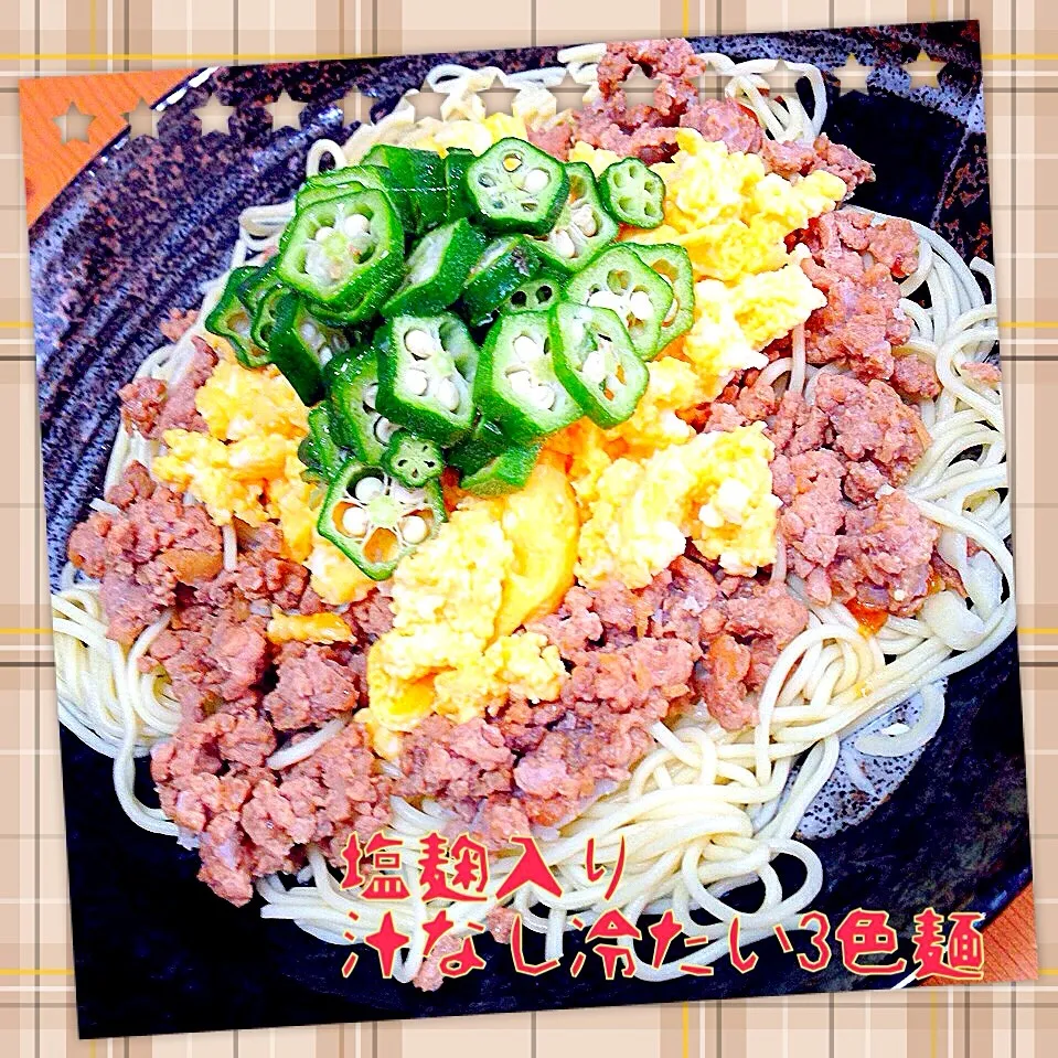 塩麹入り汁なし冷たい3色麺💚|ともきーた (伊藤 智子)さん