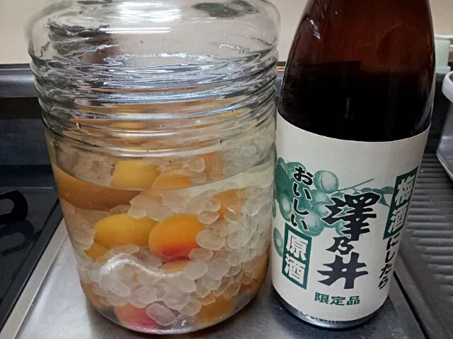 Snapdishの料理写真:日本酒で作る梅酒|堀江さん