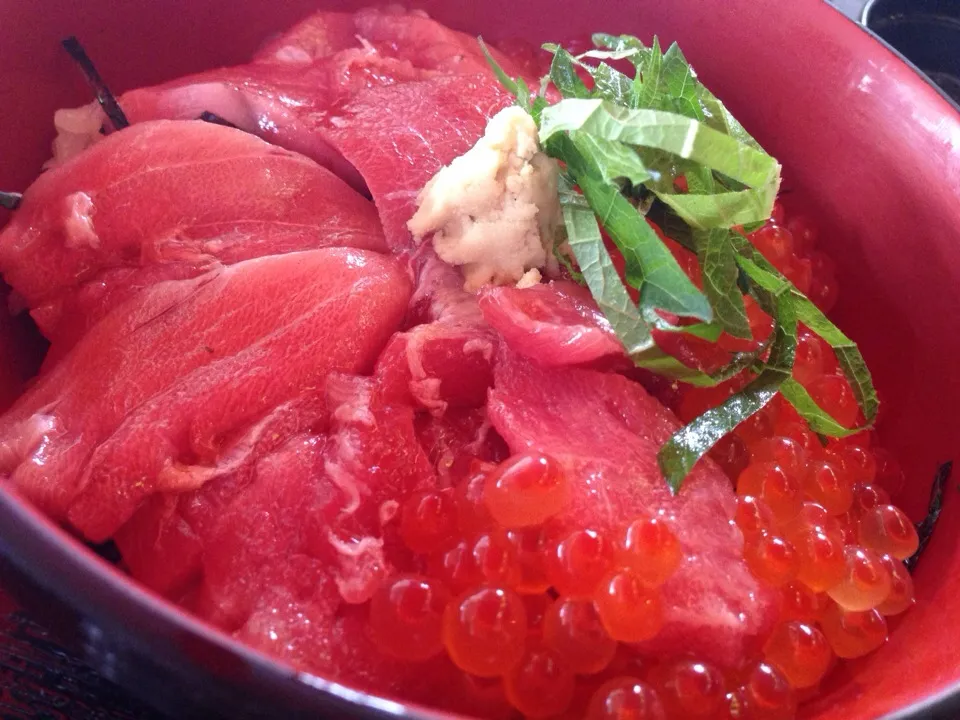 久々のいくとろ丼。やはり濃厚美味。|たけうちさん