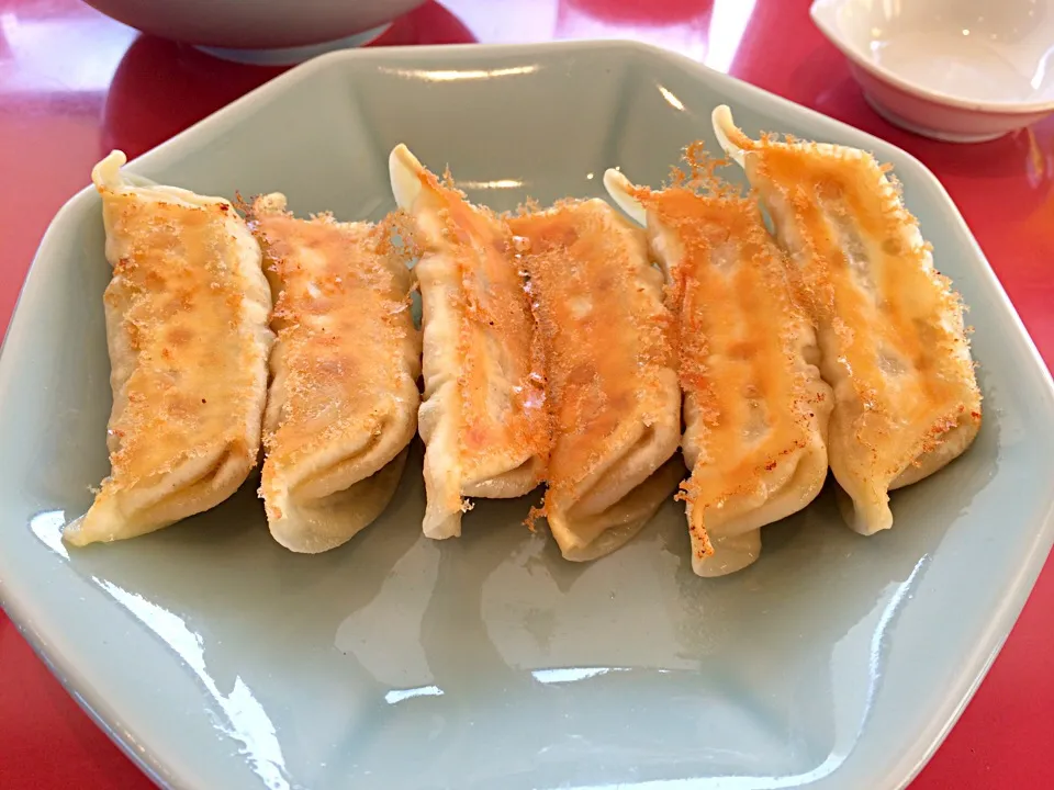 宇都宮みんみんの焼き餃子|もうちゃんさん