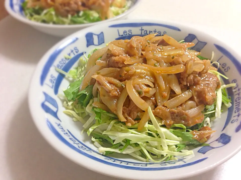 野菜たっぷりプルコギ丼|こぺ こぺちさん