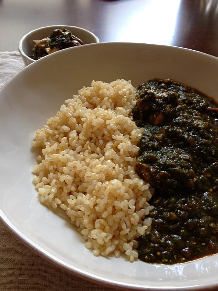 Saag chicken on brown rice|Masayo Nさん