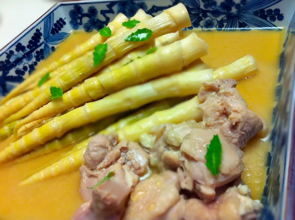 たけのこと鶏肉の煮物|Nobuyuki  Nishimuraさん