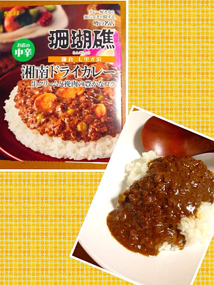 Snapdishの料理写真:鎌倉 珊瑚礁 湘南ドライカレー|中華蕎麦 銀時さん