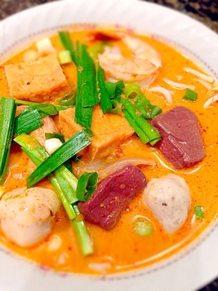 Laksa (Malay curry style )|Allissa Zhaoさん