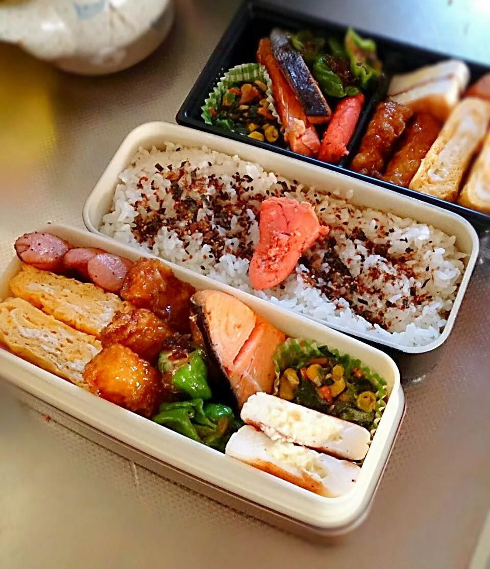 Snapdishの料理写真:6月16日 パパと義弟のお弁当|かなこさん