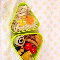 お弁当|まっこさん