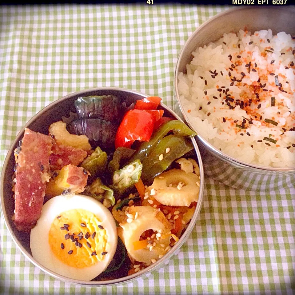 今日のお弁当☆|パピヨン☆さん