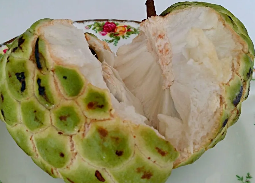 Best custard apple to date! Minimal seeds, just all sweetness! #fruit #healthy #snack|Skyeさん