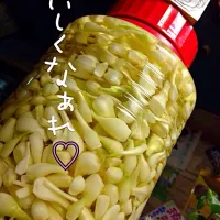 Snapdishの料理写真:島らっきょ♡|松山 晃久さん