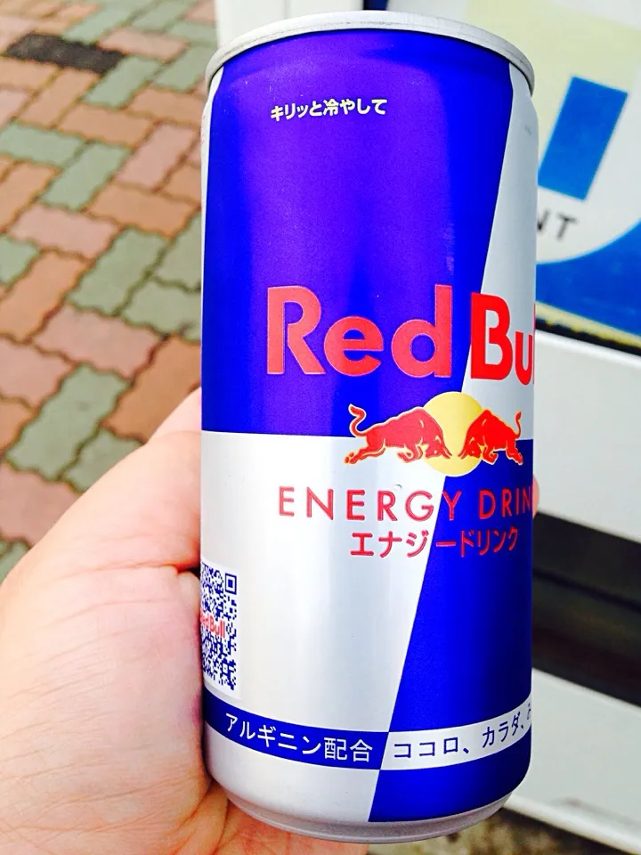 Red Bull|Deana/Akinaさん