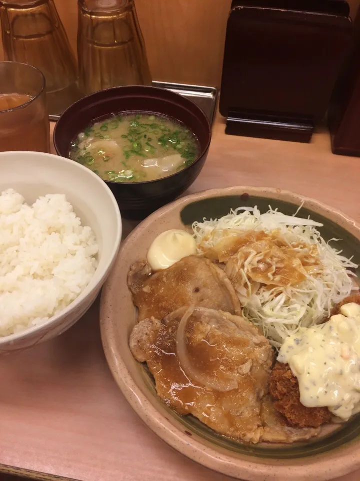 Snapdishの料理写真:生姜焼き、鶏南蛮|おてんき小僧さん