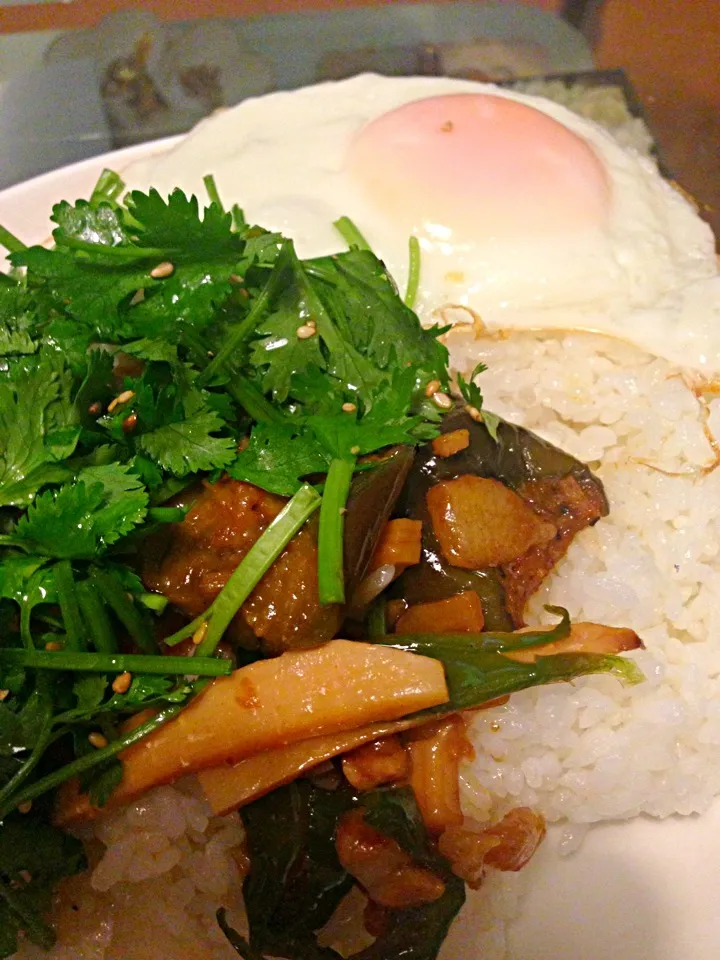 青椒肉絲とパクチーのご飯|たけのこジョニーさん