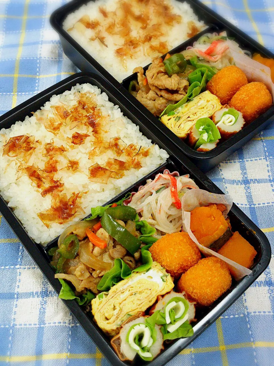 Snapdishの料理写真:14.6.17 男子高校生弁当|yukiさん