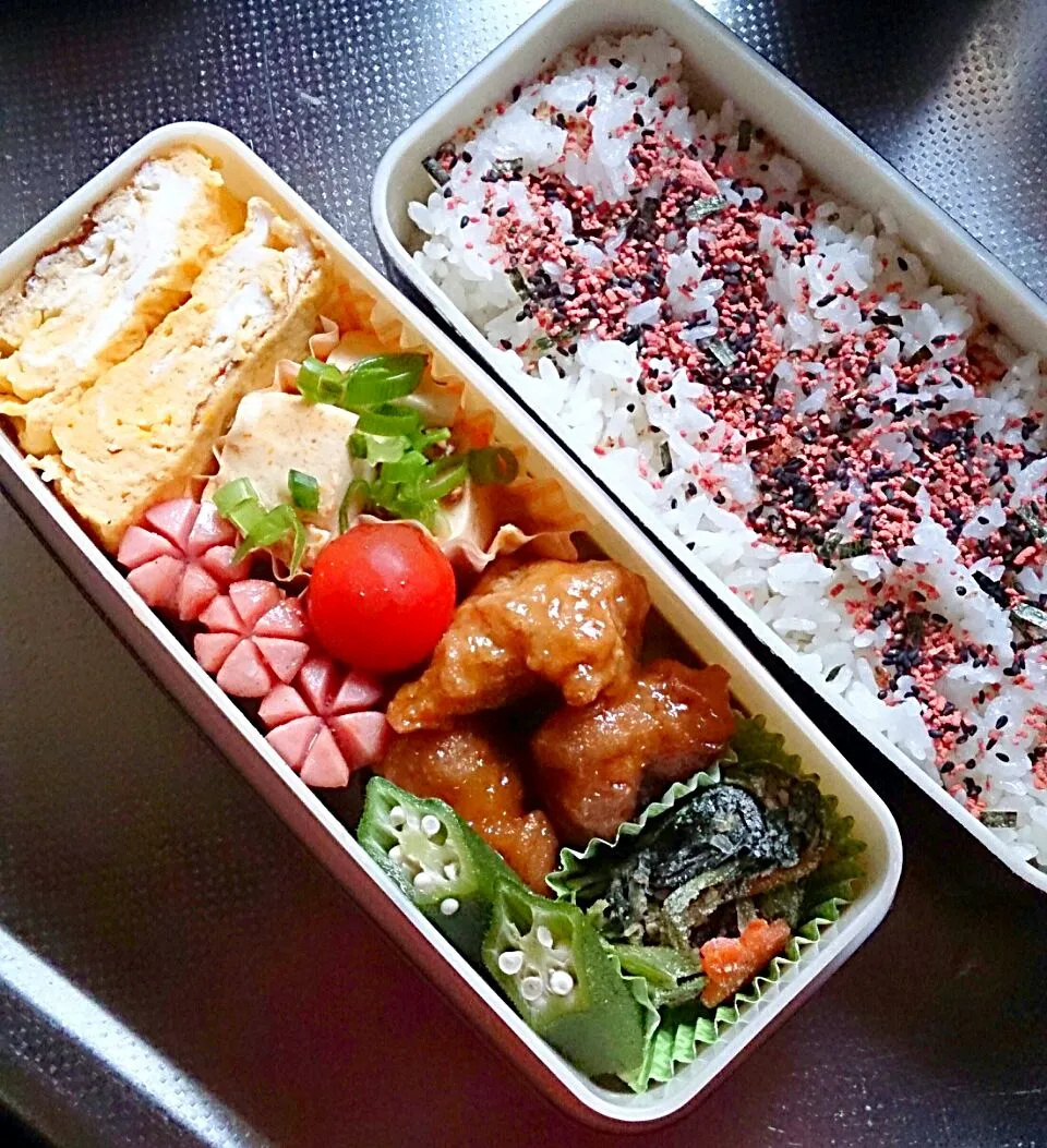 6月17日 パパのお弁当|かなこさん