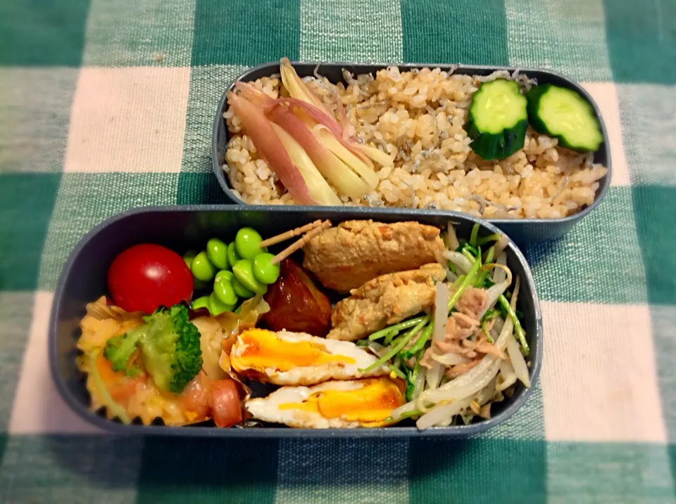 Tuesday Jimmy Bento|kokoさん