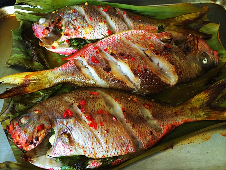 Snapdishの料理写真:Baked yellow snapper with chilli & garlic on banana leaf|12Dragonさん