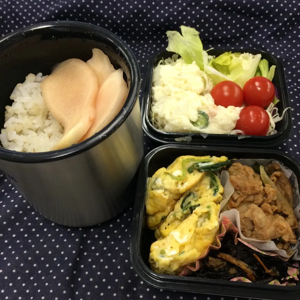 弁当（プルコギ、玉子焼き、ひじき、サラダ、新生姜甘酢漬け）|SasaMasa213さん