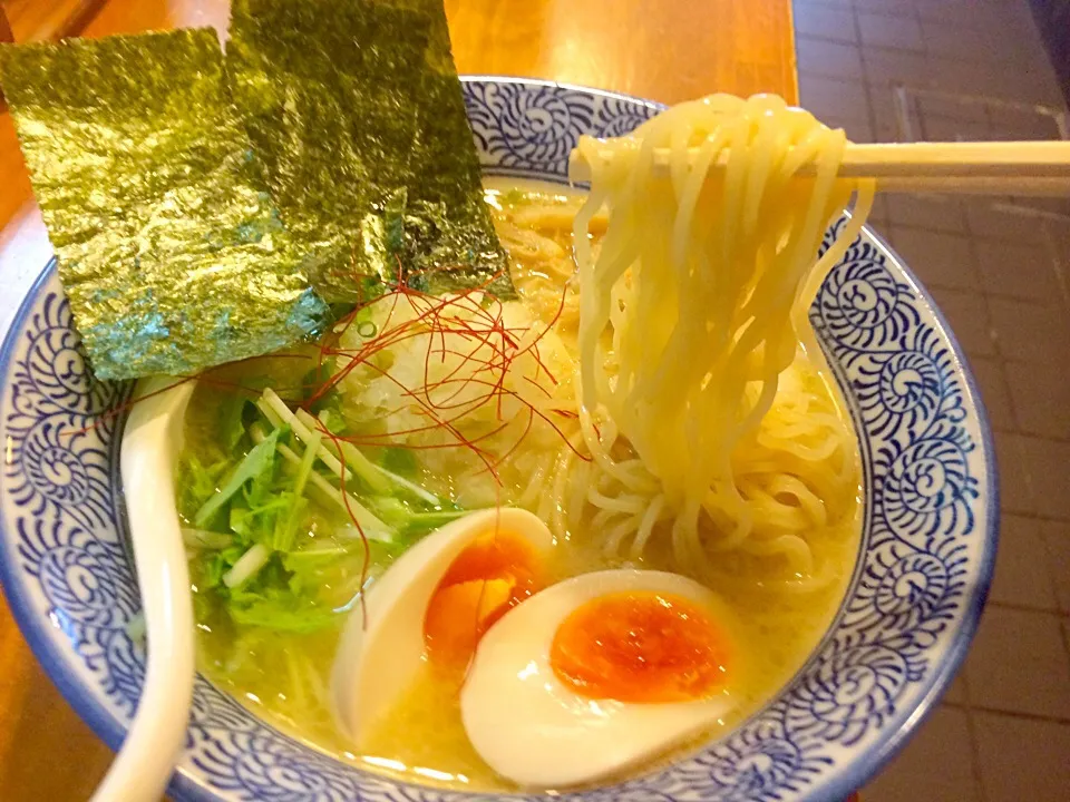 特製濃厚鶏白湯らーめん@飯田橋・麺屋一楽|juneshunさん