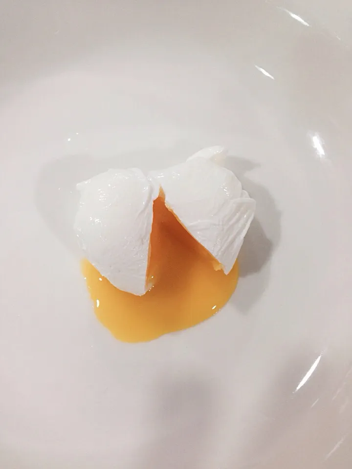 Poached egg|willzさん