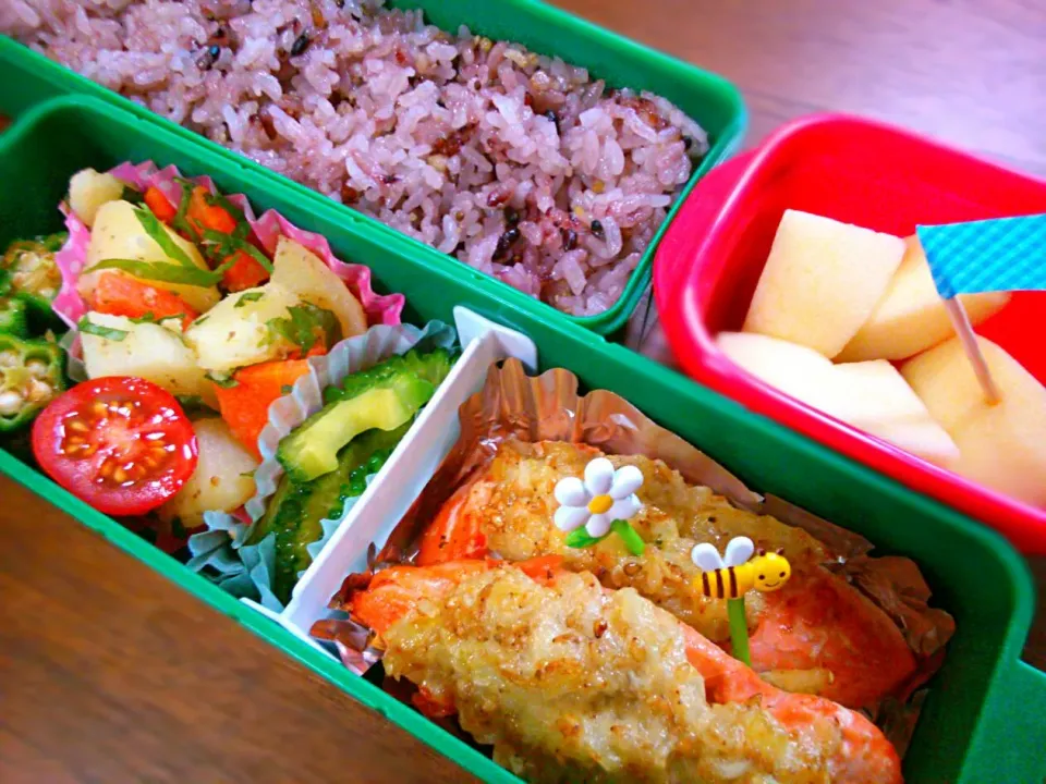 中１女子の今日のお弁当。十五穀米、生鮭のごまマヨ焼き、ポテトと黒オリーブのサラダ紫蘇入り、ゴーヤ炒め、オクラのおかか和え、りんご|みっちっちさん