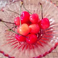 Snapdishの料理写真:カイロの先生から貰ったサクランボ🍒|chihiroさん