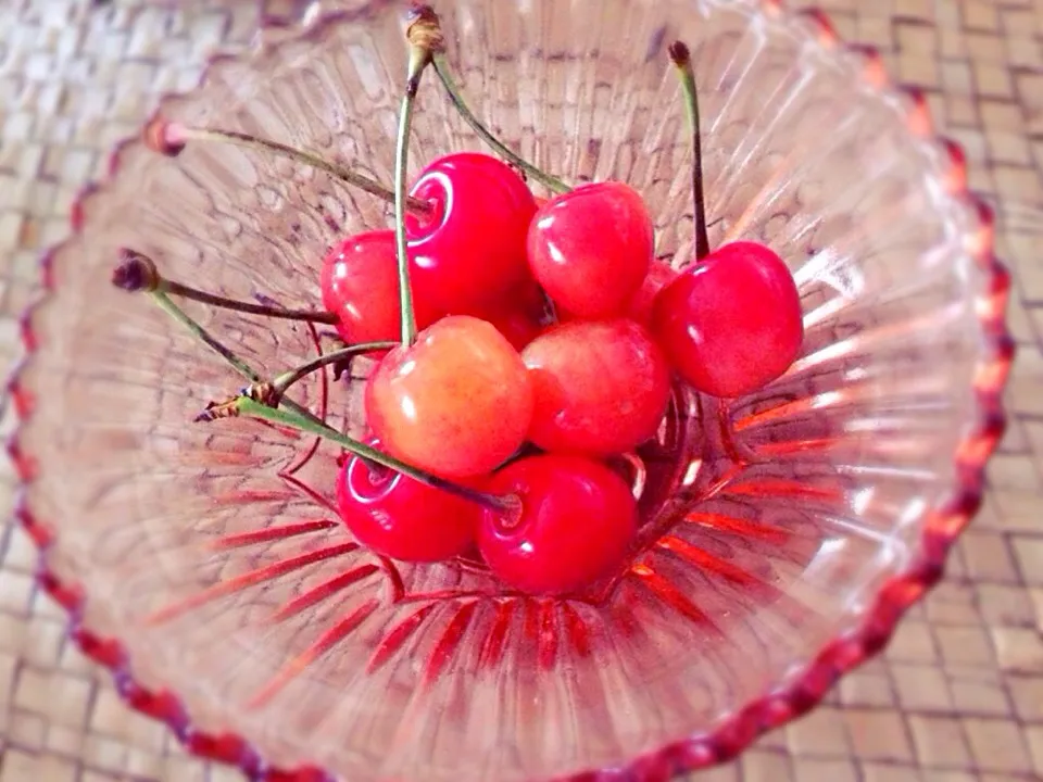 カイロの先生から貰ったサクランボ🍒|chihiroさん