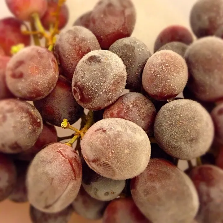 Snapdishの料理写真:Frozen Grapes, the perfect snack|Fujiko Toyohashiさん