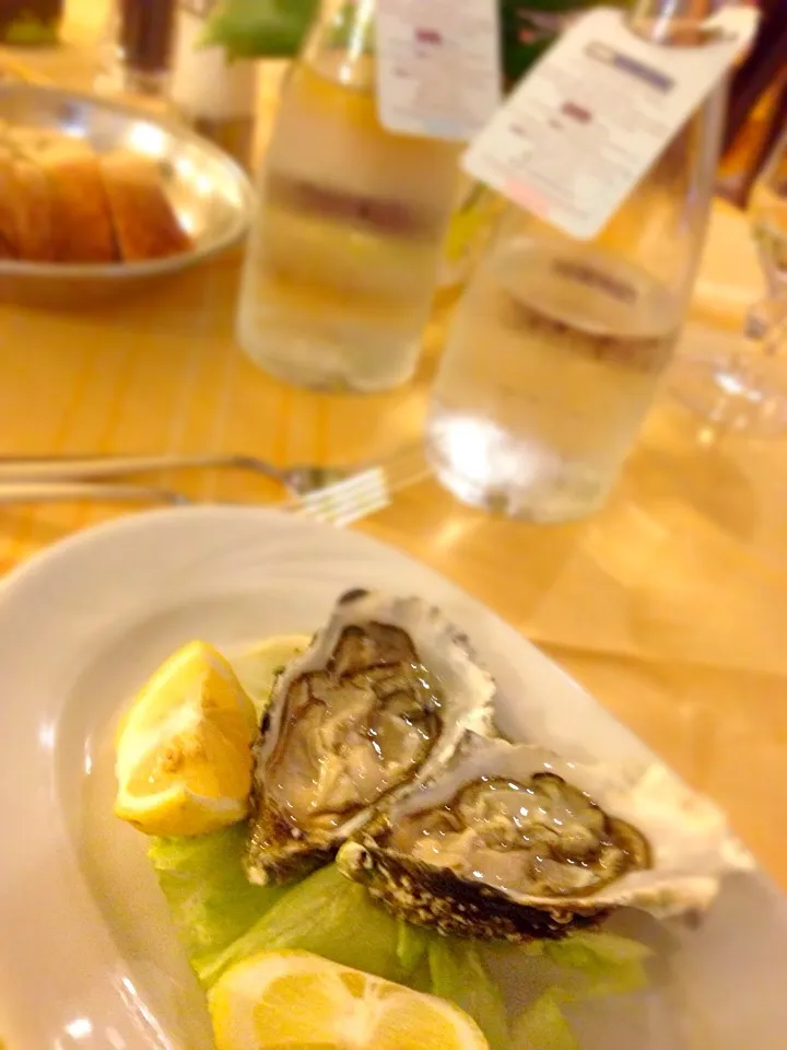 Fresh oysters|Tomoko Pratellesi Kurodaさん