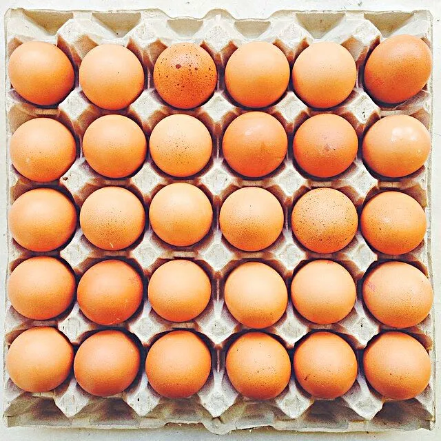 Farm Fresh #Eggs #FarmersMarket|Alisha GodsglamGirl Matthewsさん