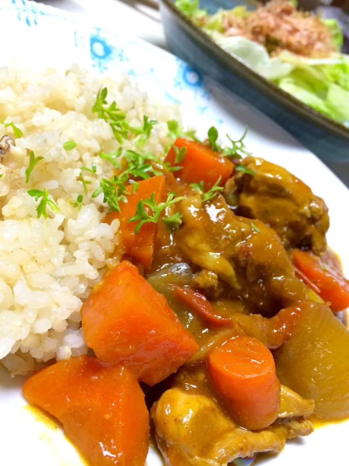 Snapdishの料理写真:水なしカレー|みーさん