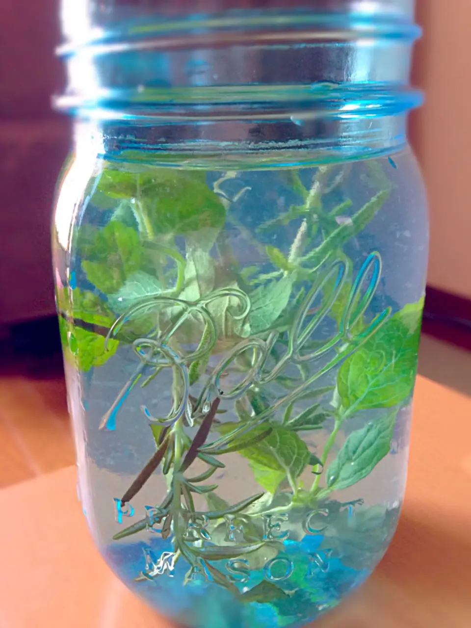 Tulsi mint rosemary lemon water with cooling blue bottle to cool down from inside out :) 体内からクールダウン^ ^ トゥルシー ミント ローズマリー レモン水をブルーのボトルで☆|Tanuさん