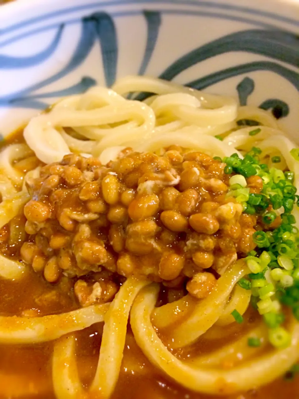 五右衛門 カレー納豆うどん|向井理子さん