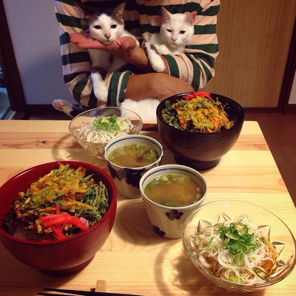 野菜とミツバのかき揚げ買ってきてタレ作って、かき揚げ丼❁|naouさん