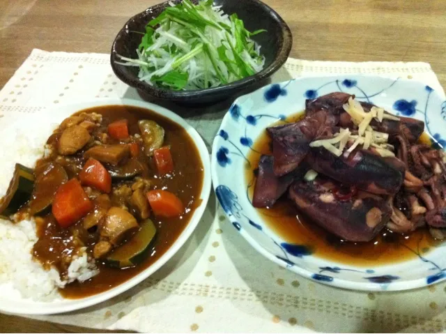 Snapdishの料理写真:チキンとズッキーニのカレー・イカの煮付け・大根と水菜のサラダ|まーままさん