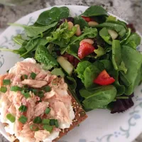 Mixed greens with white beans, tomatoes and cucumbers with a crispbread topped with cottage cheese and smoked trout|Martha P.さん