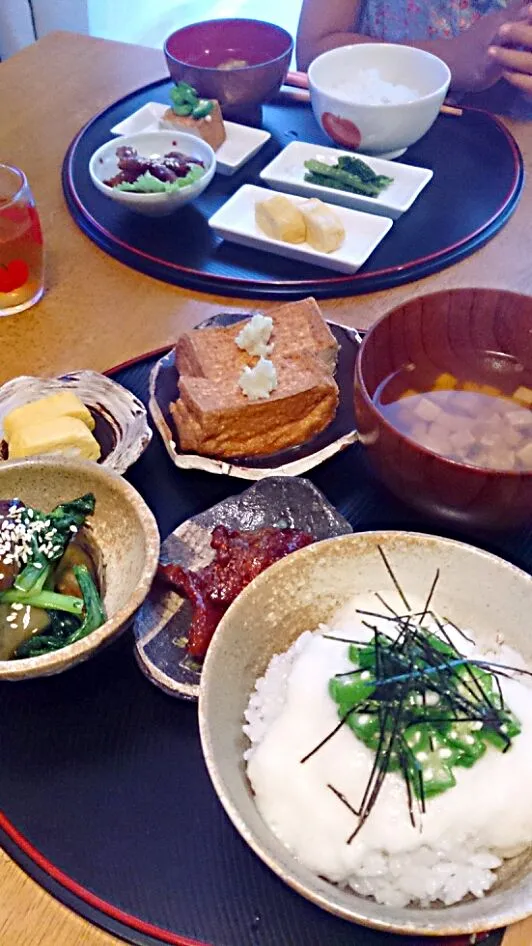 ねばねば丼定食☆|udomegu☆さん