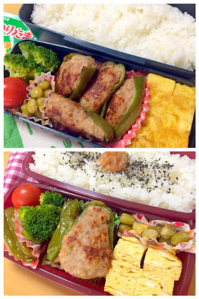 ピーマン肉詰め弁当|しーさん