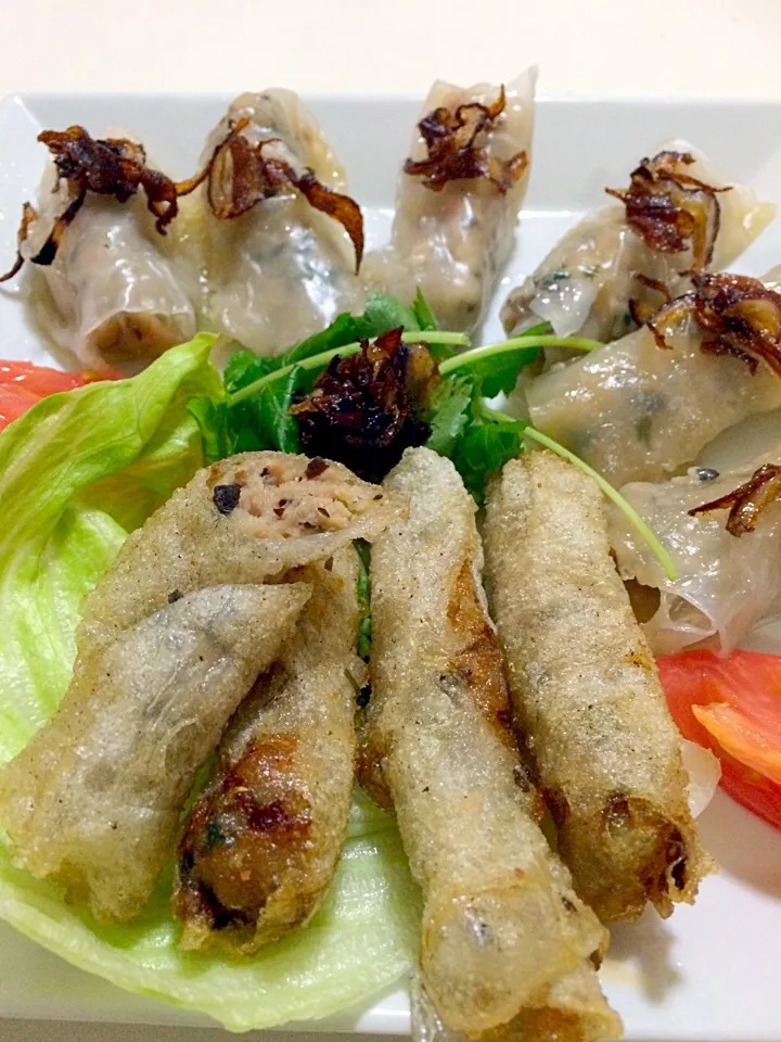 Vietnam Steam/Fried spring rolls|MJ🇵🇭🇯🇵さん