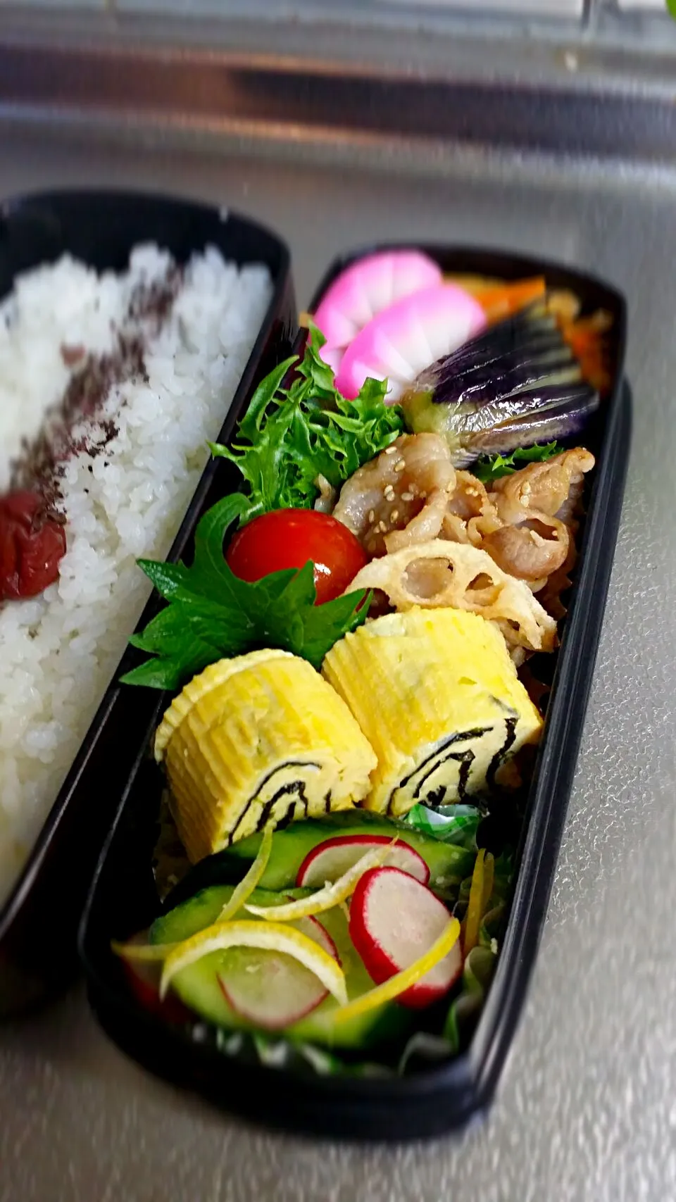 《火曜日のお弁当》

・人参のきんぴら
・豚の生姜焼き
・海苔入りだし巻き玉子
・ナスの塩素揚げ
・蓮根チップ
・きゅうり、ラデッシュの生姜レモン和

行ってらっしゃ〜💕|藤田 まり子さん