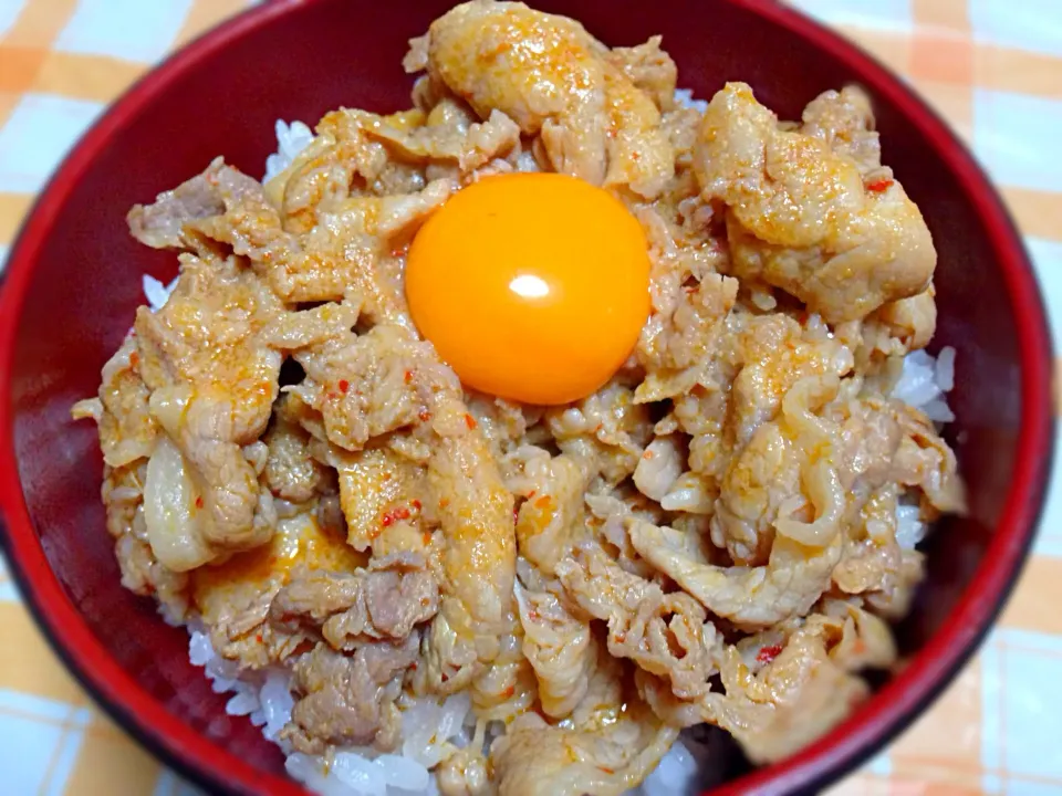 豚丼|めっちいさん