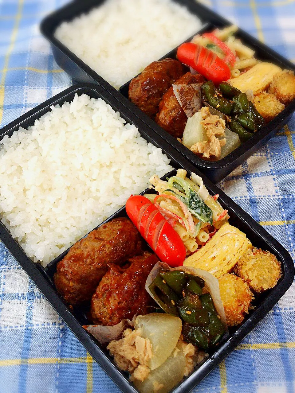 Snapdishの料理写真:14.6.25 男子高校生弁当|yukiさん